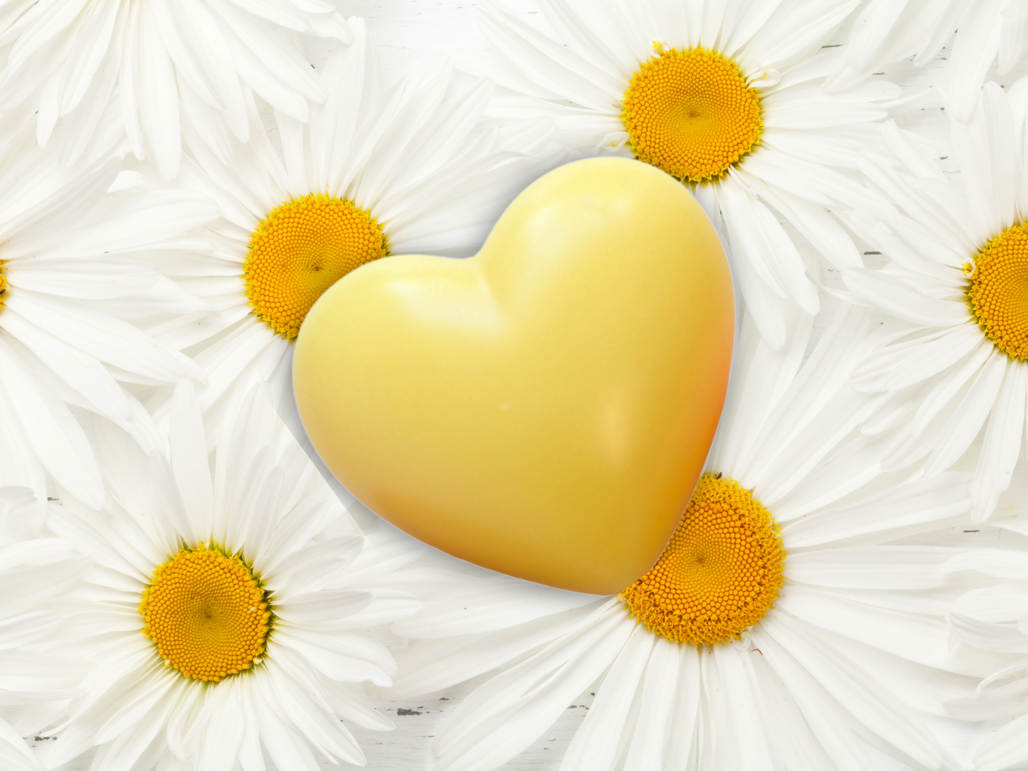 Wax heart fresheners for closets and drawers - Best-Selling scents - Signature Collection