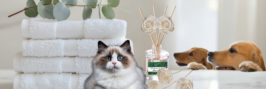 The Best Flameless Air Fresheners for a Home With Pets