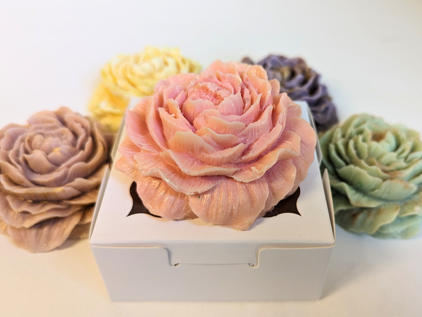 Wax flowers fresheners - Best-Selling scents for your closets and drawers - Signature Collection