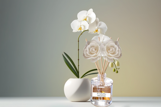 Fruity & Juicy Reed Diffuser Collection – Lively Fruit-Inspired Scents with Apple, Cherry, Kiwi & Melon
