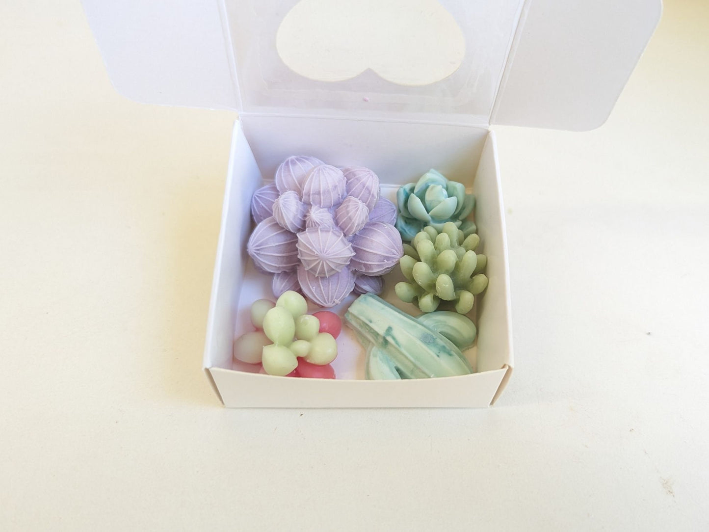 Cactus Flower and Jade scented succulent wax melts | Set of scented wax melts|  Charming gift | Long lasting Strong scented wax melt