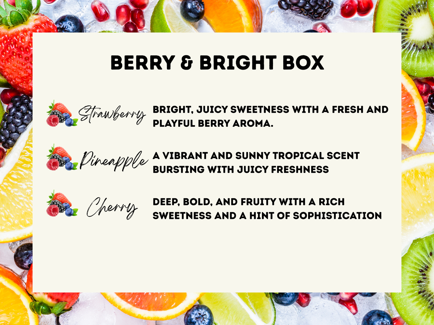 3-Pack Wax Melt Bundle - Wax Melt Trio Collection