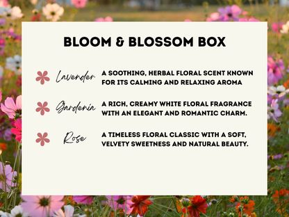 3-Pack Wax Melt Bundle - Wax Melt Trio Collection