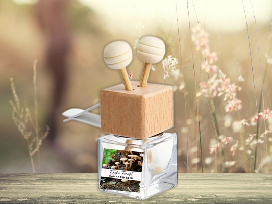 Nature & Earth Vent Car freshener Diffuser – Earthy, Forest & Outdoor-Inspired Aromas