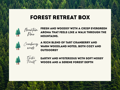 3-Pack Wax Melt Bundle - Wax Melt Trio Collection