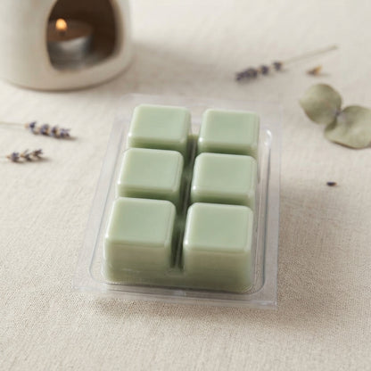 Clamshell Wax Melts – Best-Selling Scents | Signature Collection