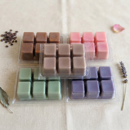 Clamshell Wax Melts – Spring & Summer | Fresh, Fruity & Floral Scents