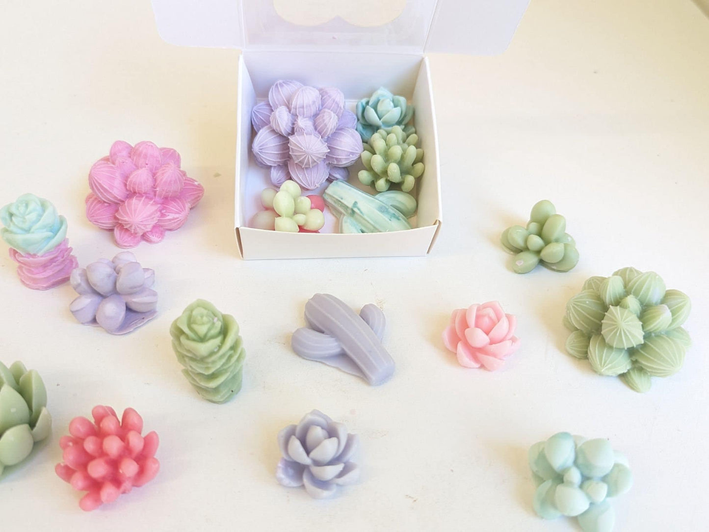 Cactus Flower and Jade scented succulent wax melts | Set of scented wax melts|  Charming gift | Long lasting Strong scented wax melt