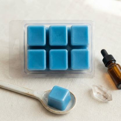 Clamshell Wax Melts – Spring & Summer | Fresh, Fruity & Floral Scents