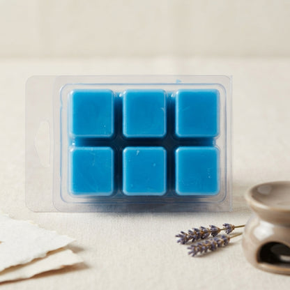 Clamshell Wax Melts – Best-Selling Scents | Signature Collection