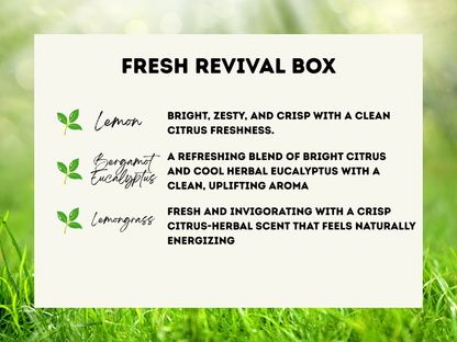 3-Pack Wax Melt Bundle - Wax Melt Trio Collection