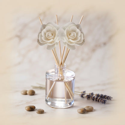 Warm & Cozy Reed Diffuser Collection – Vanilla, Amber & Marshmallow
